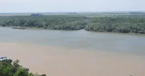 Дунав потече в кафяво