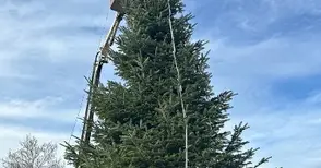 Светлините на елхата слагат начало на новия фестивал „Русе - Коледната звезда на Дунав“