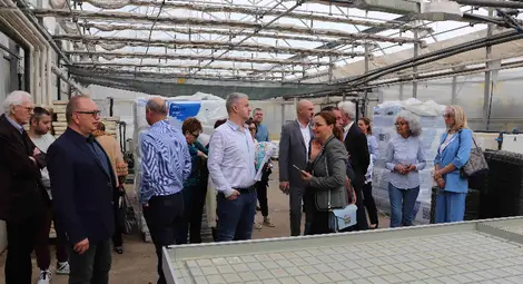 Новостите в оранжерийното производство обсъди Съвместната българо-румънска земеделска работна група към областната управа в Русе