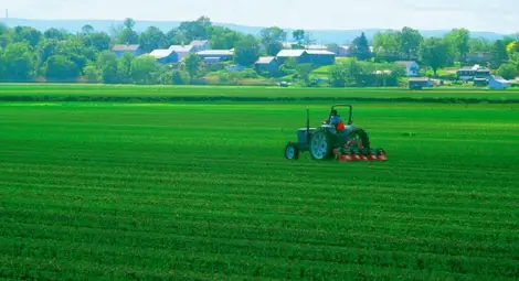 Пускат на втори търг  1900 дка държавни земи