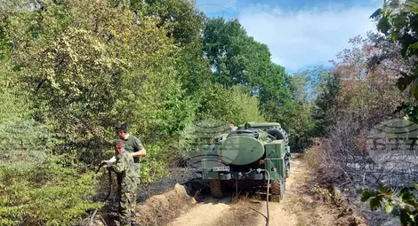 Снимка: БТА