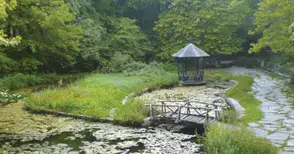 Планът за реконструкцията на лесопарка зацикли