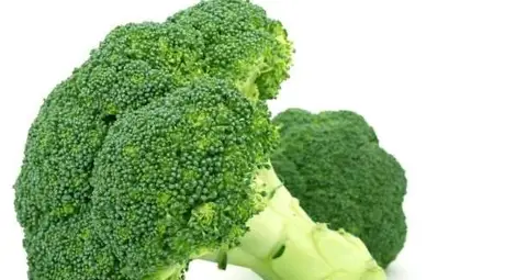 Голият ездач на лъва наказан с една година условно Голият ездач на лъва наказан с една година условно