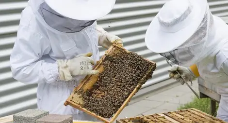 ЕК увеличава помощта de minimis до 25 хил. евро