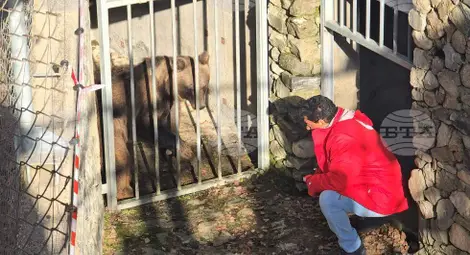 Снимка: БТА Снимка: БТА