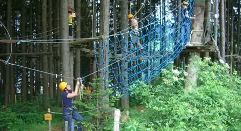 Кметът предлага концесия за спорт  и атракциони в Лесопарк &bdquo;Липник&ldquo;
