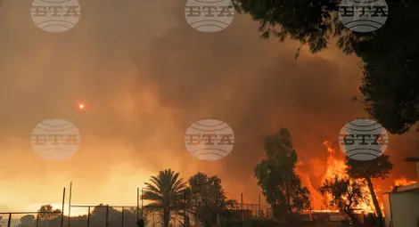 Снимка: БТА Снимка: БТА