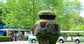 Поход на свободата срещу трафика на хора тръгва от Вазата днес