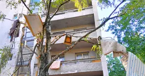 Растат ли дюшеци по дърветата в двора на средношколското общежитие?