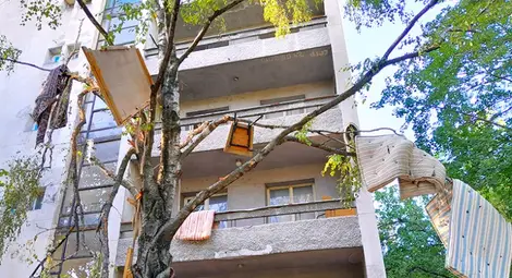 Растат ли дюшеци по дърветата в двора на средношколското общежитие?