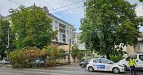 Внезапна лятна буря начупи дървета в Русе и областта