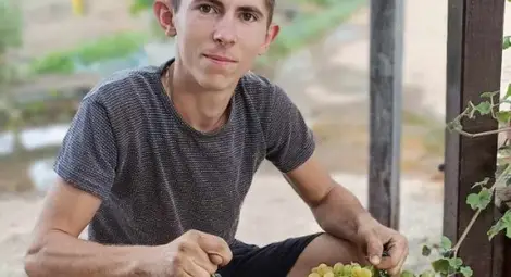 Процъфтяващо зеленчуково стопанство в Ценово не продава на пазара - 400 пратки седмично тръгват към редовни клиенти