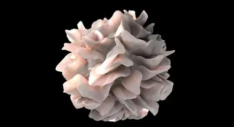 Откриха четири нови вида човешки кръвни клетки