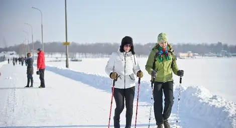 Защо холандците са по-високи от италианците?