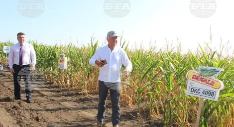 Снимка: БТА