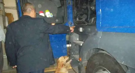 Митничарско куче откри нелегални цигари в ирански ТИР на Дунав мост