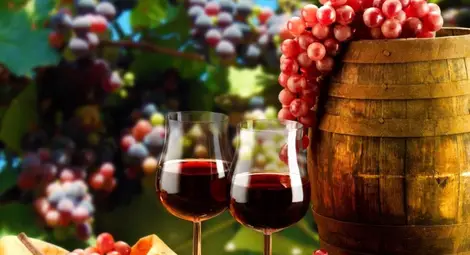 Жени и вино! Вино и жени!