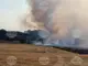 Втори пожар гори в Ямболско - между селата Джинот, Търнава и Могила, няма опасност за населените места