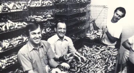 Геврекът пътешественик Геврекът пътешественик