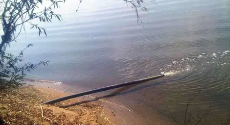 Завод за масла и биодизел бълва отпадъчна слуз в Дунав