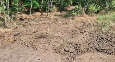 Пропаднала сделка довела до изхвърлянето на кубове с разтвор до Сливо поле