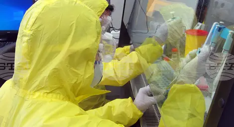 Снимка: БТА