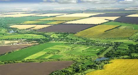 С 10% поскъпнаха нивите  около Две могили