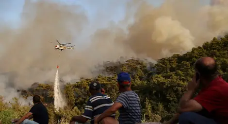 Евакуация заради горски пожар в Бодрум, чуждестранни лидери предлагат помощ на Турция
