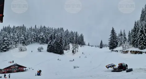 Снимка: БТА