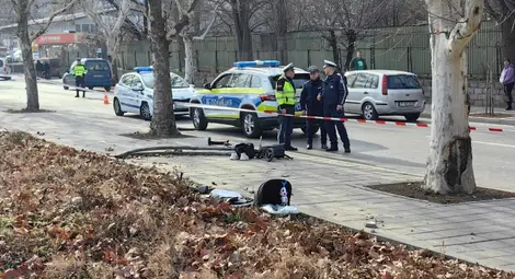 Снимка: Архив