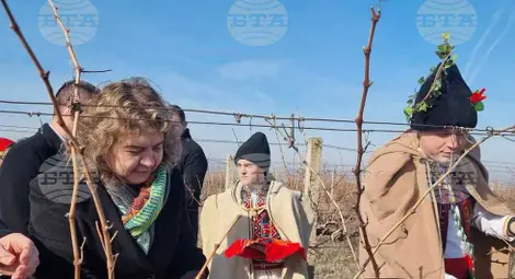 Снимка: БТА