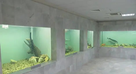 Скаути изучават в Екомузея къдe нощуват рибите