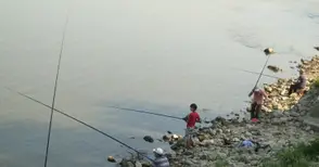 129 тона риба извадени от Дунав за година