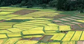 Ускоряват комасацията в Горно Абланово и Борово