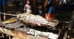 Риба чеверме и закрита дегустация на домашна ракия на феста в Бръшлен