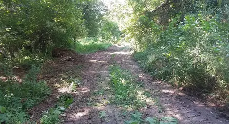 Разчистват туристическите маршрути в Поломието