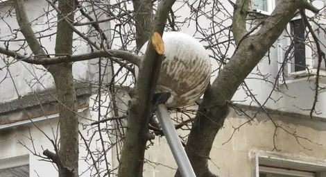 Подпряна на дърво улична лампа тревожи &bdquo;Здравец&ldquo;