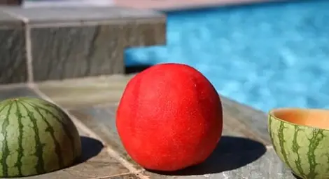 Как да одерем диня? (видео)