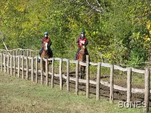 40 състезатели яздят за Балканската купа по издръжливост в Русе