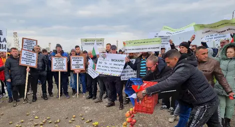 Овощари и зеленчукопроизводители протестираха край ГКПП "Дунав мост" при Русе