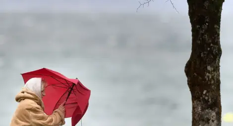 Силен вятър ще понижи температурите, очакват се и валежи Силен вятър ще понижи температурите, очакват се и валежи