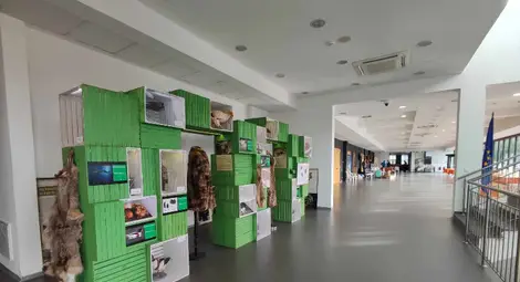 Изложба на русенския музей гостува на Софийския фестивал на науката