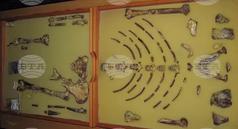 Снимка: БТА Снимка: БТА