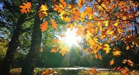 Днес ще е слънчево, максималните температури стигат до 25 градуса