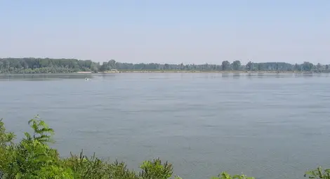 WWF представя опазването на застрашени видове в Деня на Дунав