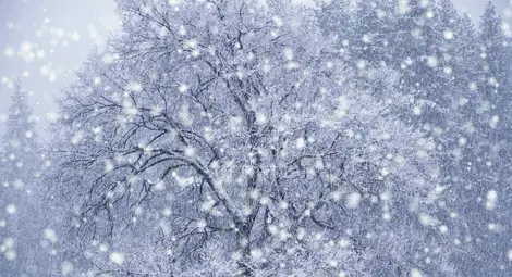 Прогноза за времето за 26 януари 2013 г.