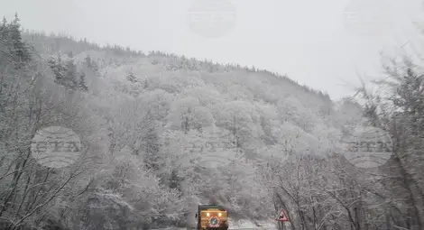 Снимка: БТА Снимка: БТА