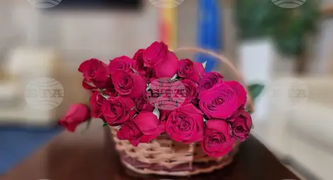 Снимка: БТА Снимка: БТА