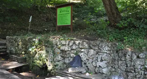 Черното момиче на Текето издържа само година