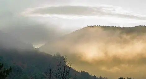 Слънчево, на места със сутрешни мъгли